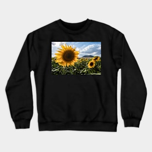 Late Summer Sunflowers Crewneck Sweatshirt